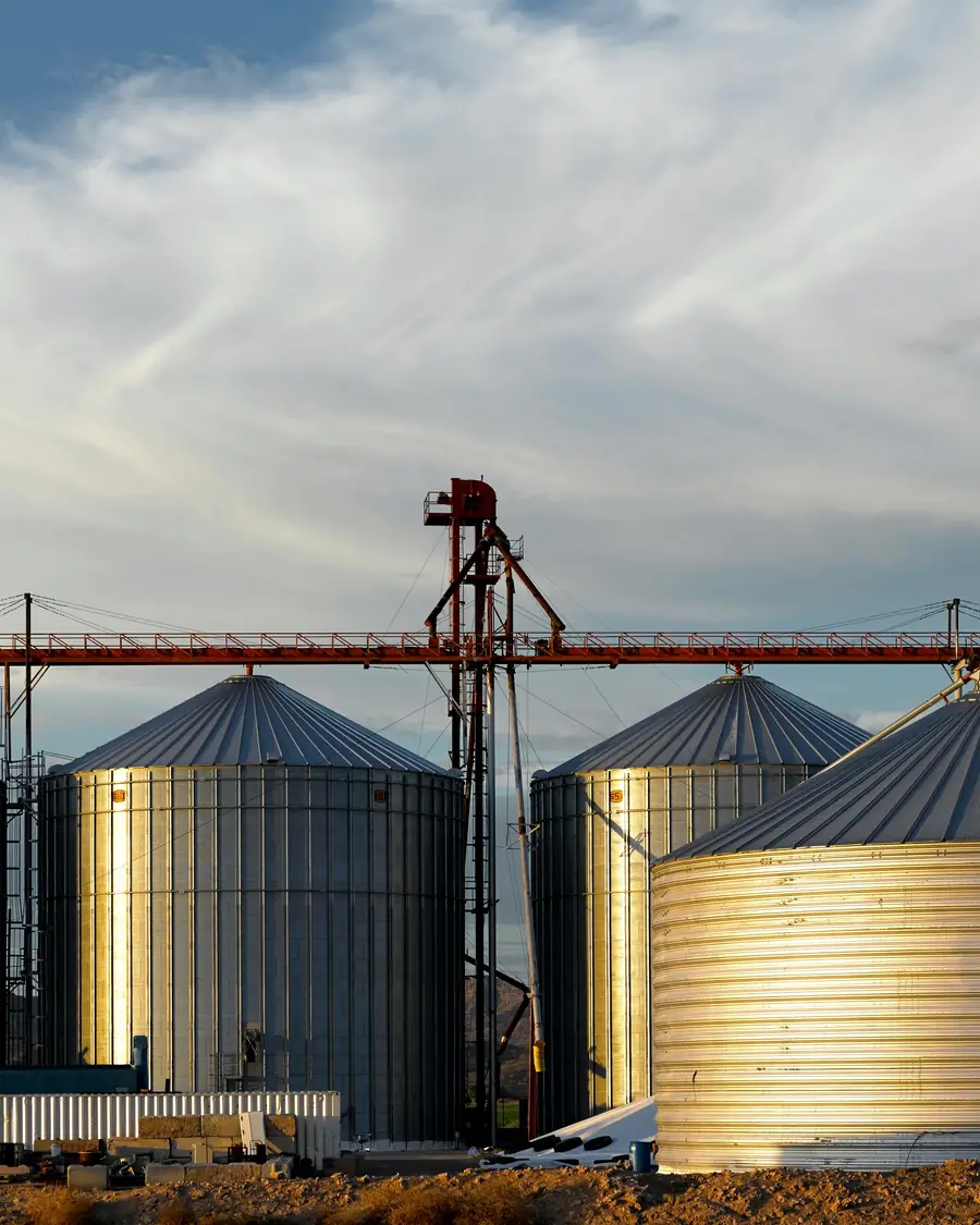 Grain silos in evening light