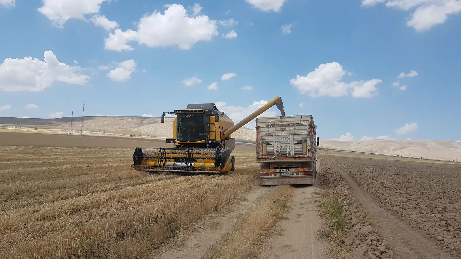 A combine harvester unloading grain into a truck on a farm road